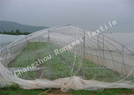 HDPE αλιεία με δίχτυα ελέγχου εντόμων θερμοκηπίων/πλέγμα προστασίας εντόμων για τα φρούτα ή το λαχανικό