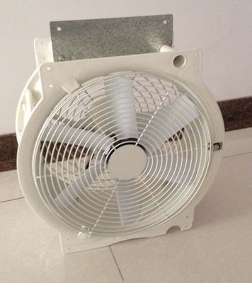 250w Ø600mm μέσα στον ανεμιστήρα κυκλοφορίας ανταλλακτικών θερμοκηπίων με το πλαστικό σπίτι
