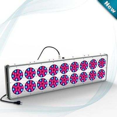 Οι μπλε κόκκινες Hydroponics οδηγήσεις αυξάνονται το ελαφρύ συνεχές ρεύμα 630nm/460nm 612W~644W 32 ~ 45V, το φυτό των οδηγήσεων αυξάνεται το λαμπτήρα