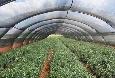 Hdpe αντι UV αλιεία με δίχτυα σκιάς στεγών θερμοκηπίων, δίκτυο σκιάς πολυαιθυλενίου