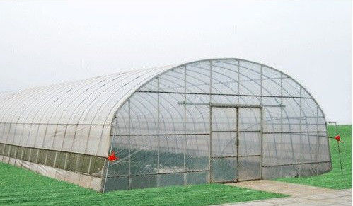 10000mm έκτασης εμπορικό θερμοκήπιο σηράγγων θερμοκηπίων οικονομικό