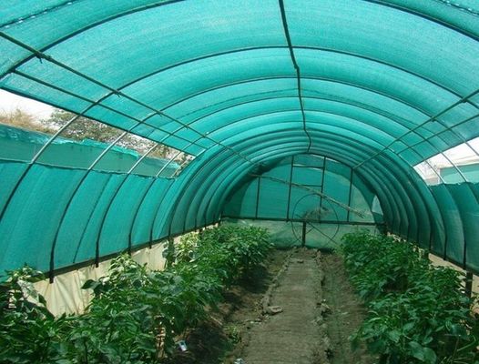 HDPE πλεκτό Aschel δίκτυο σκιάς γεωργίας για το θερμοκήπιο, 30gsm300gsm