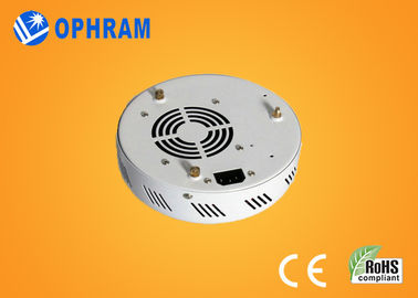 Οι πλήρεις οδηγήσεις φάσματος Epistar IP20 50W αυξάνονται τα φω'τα για τα λουλούδια AC85-265V