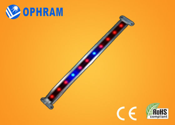 10W SMD 2835 φυτικές/ανθίζοντας οδηγήσεις αυξάνεται τα φω'τα με τη γωνία ακτίνων 180°