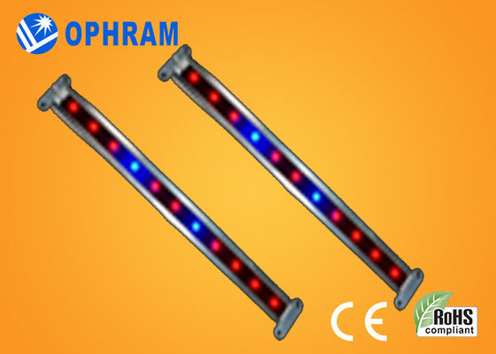 10W SMD 2835 φυτικές/ανθίζοντας οδηγήσεις αυξάνεται τα φω'τα με τη γωνία ακτίνων 180°