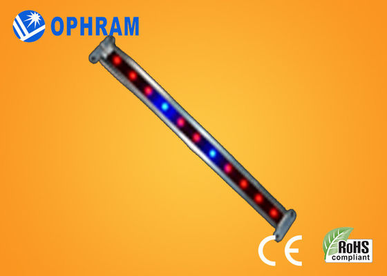 10W SMD 2835 φυτικές/ανθίζοντας οδηγήσεις αυξάνεται τα φω'τα με τη γωνία ακτίνων 180°