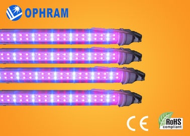 50Hz/60Hz 230V/240V οι πλήρεις οδηγήσεις φάσματος αυξάνεται τα φω'τα για το λαχανικό
