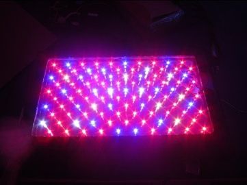 120W οι οδηγήσεις θερμοκηπίων υψηλής δύναμης γίνονται ελαφριές